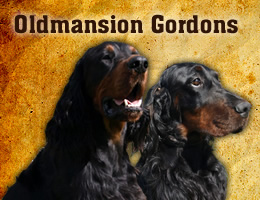 Oldmansion Gordons